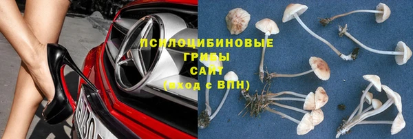 ALPHA PVP Арсеньев