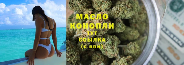 МДПВ Инсар